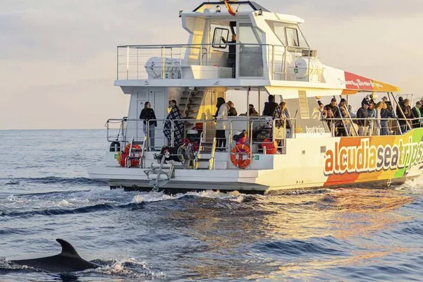 Mallorca's Dolphin Adventure: High-Speed Thrills & Ethical Encounters!