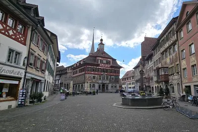 Rhine Falls & Stein am Rhein Tour from Zurich