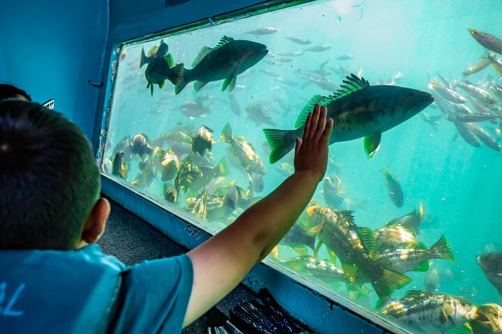 Experience Image img2