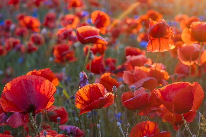 Experience Image img2