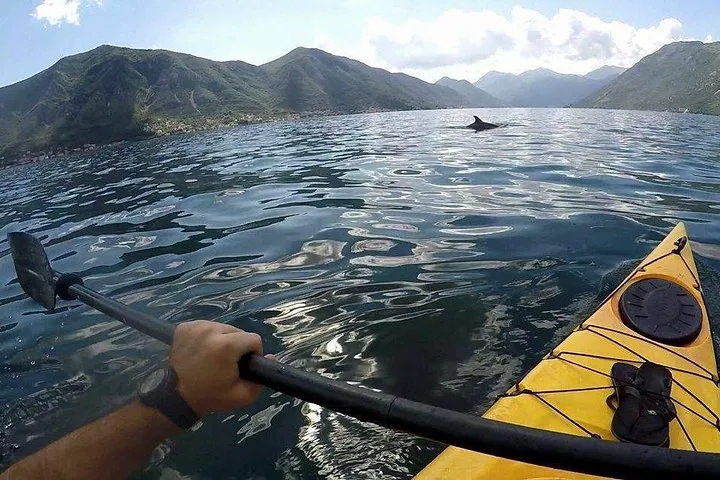 img0