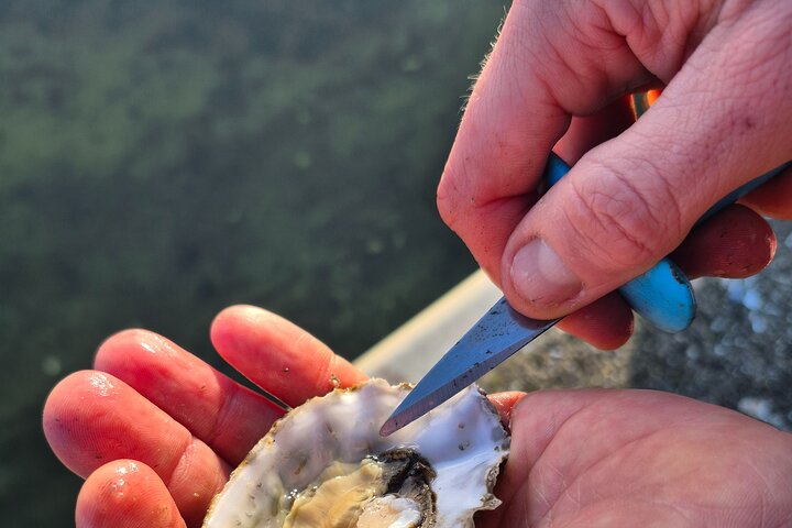 Experience Image img3