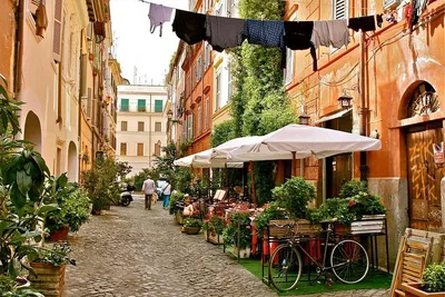 Unveiling Rome's Soul: A Trastevere & Jewish Ghetto Walking Adventure