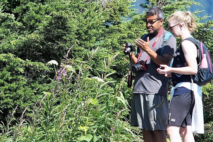 Experience Image img3