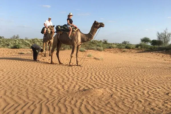 Unforgettable Desert Adventure: Jodhpur Camel & Jeep Safari