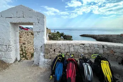 Image 2