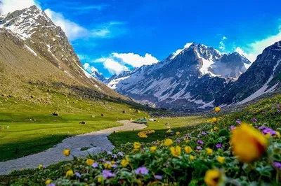 Spiritual and Cultural North India: A 12-Day Himalayan Foothills Private Tour