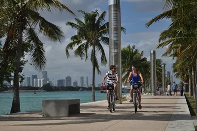 Miami Beach Bicycle Adventure: Explore at Your Own Pace!