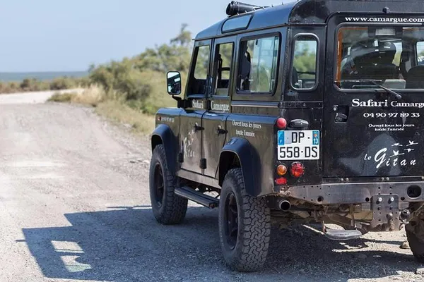 Camargue Safari: 4x4 Adventure in Saintes-Maries-de-la-Mer