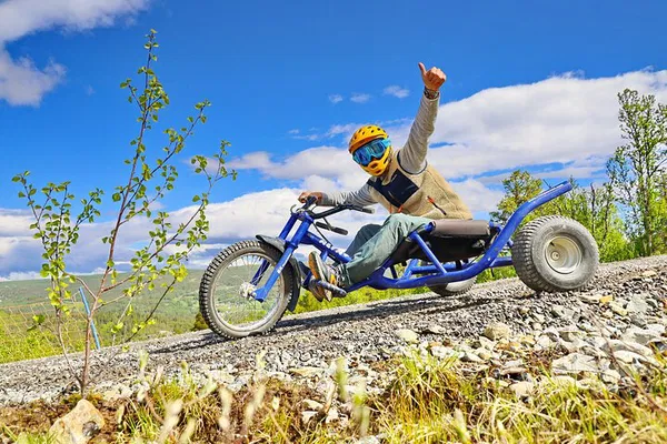 Experience Thrilling Mountain Cart Racing in Dagali, Geilo!