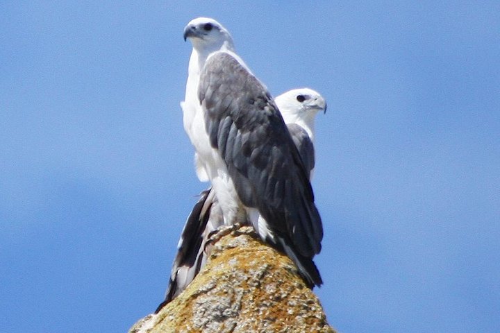 Experience Image img3