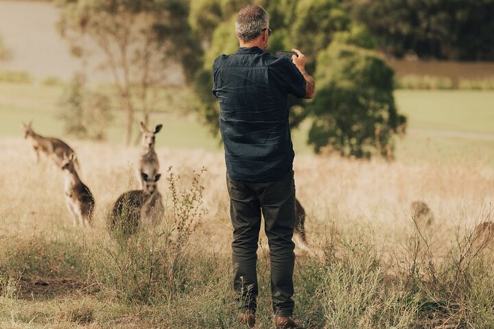 Experience Image img3