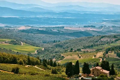 Napa Valley Sky High: A Breathtaking Aerial Wine Tour