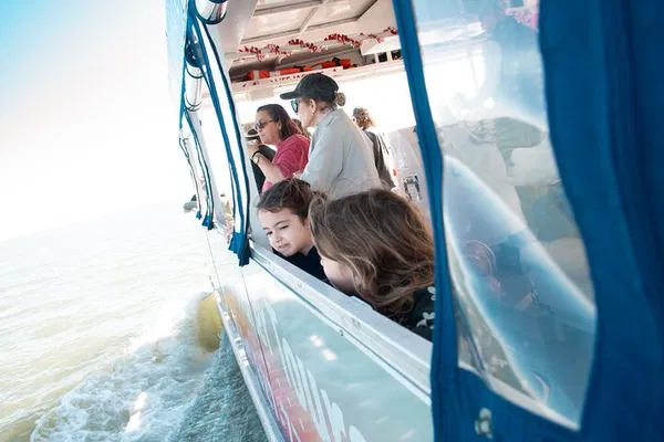 St. Augustine: Dolphin & Wildlife Boat Tour Adventure