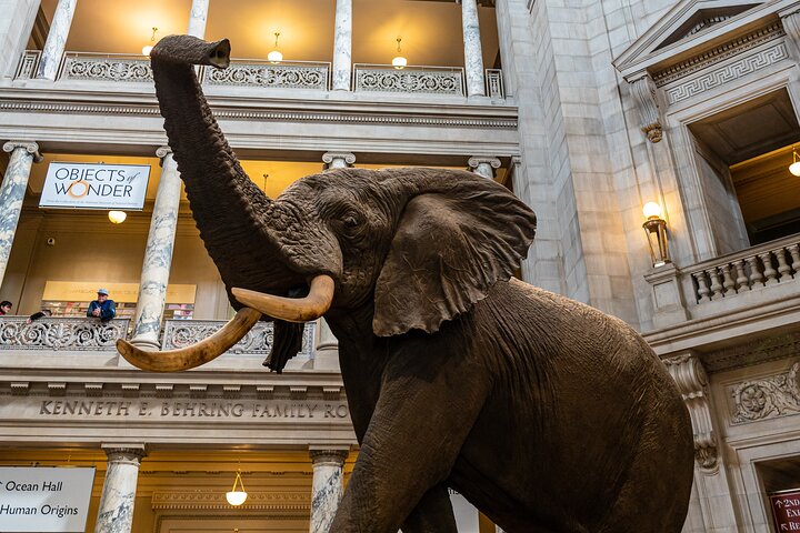 Experience Image img3