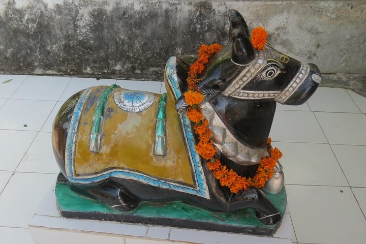 Experience Image img3