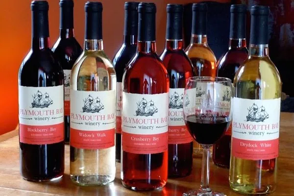 Plymouth Bay Wine Tasting: Savor History with Every Sip