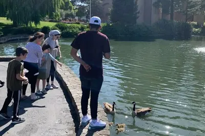 Uncover SF's Elite: Billionaire Row & Palace of Fine Arts Walking Tour