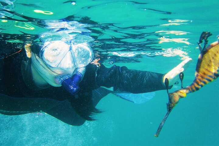 Experience Image img4