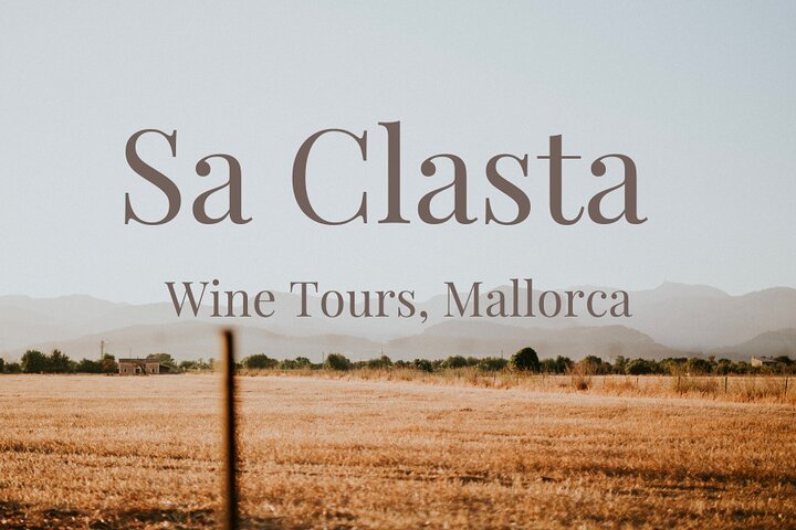 Mallorca Wine Tour: Taste Island's Best!