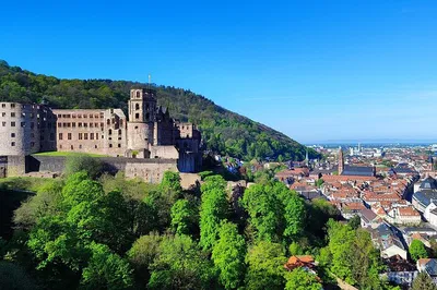 Discover Heidelberg: A Grand Tour of Castle & Romantic Old Town