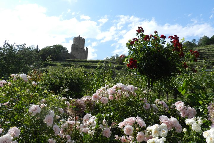 Experience Image img4