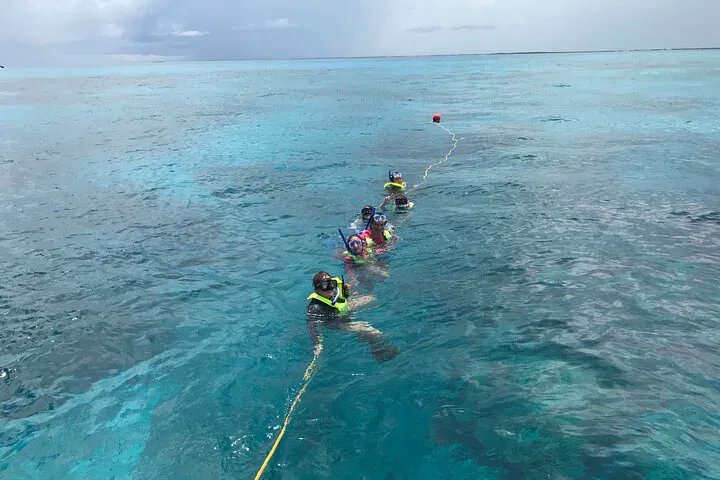 img0
