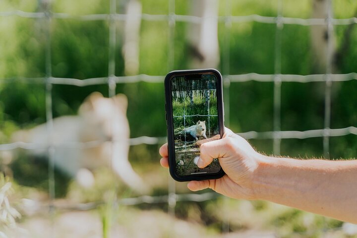 Experience Image img1