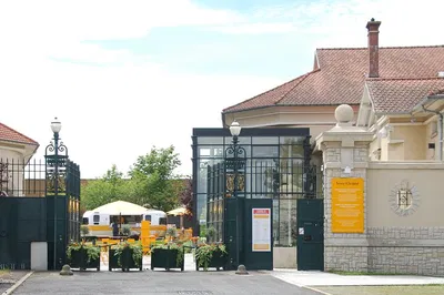 Champagne Dreams: A Luxurious Private Tour from Paris with Veuve Clicquot