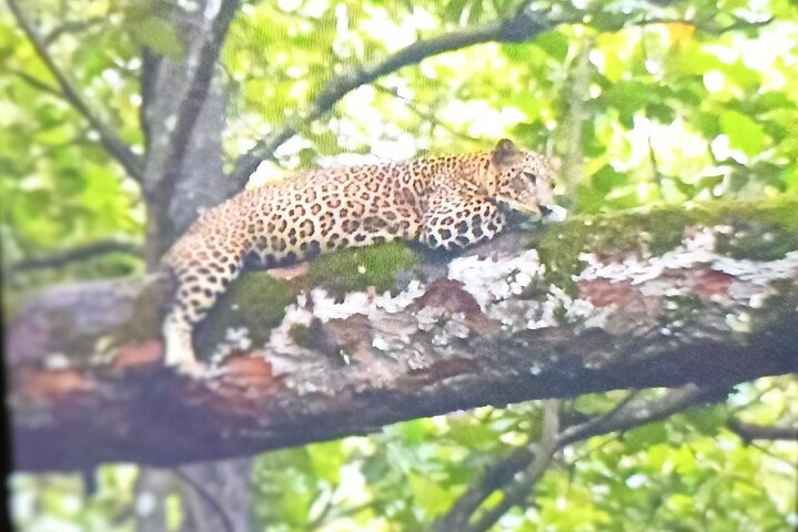 Experience Image img2