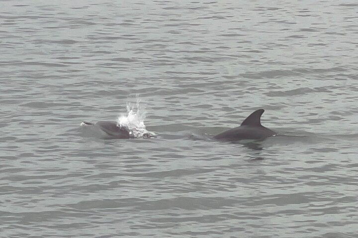 Experience Image img2