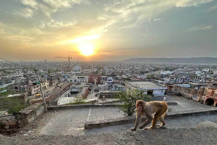 img0