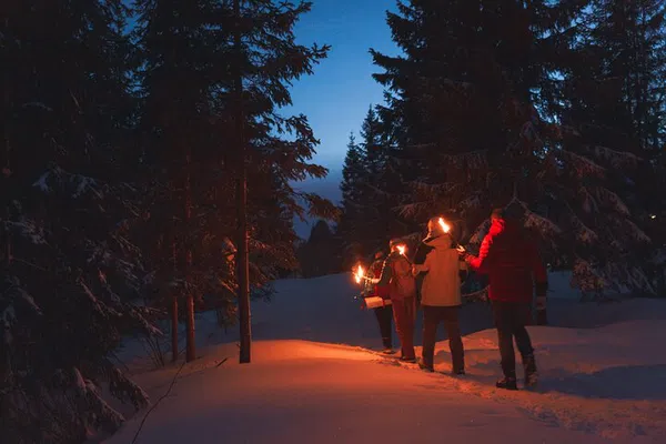 Oslo's Enchanting Winter Forest: Torchlit Campfire Adventure