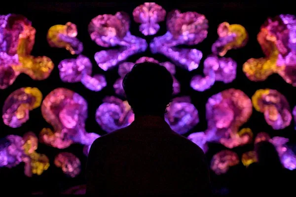 Relax & Recharge: ANDETAG Immersive Art Experience