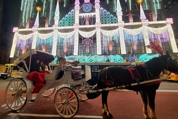 Enchanting NYC Christmas: Private Horse Carriage Ride Through Holiday Lights