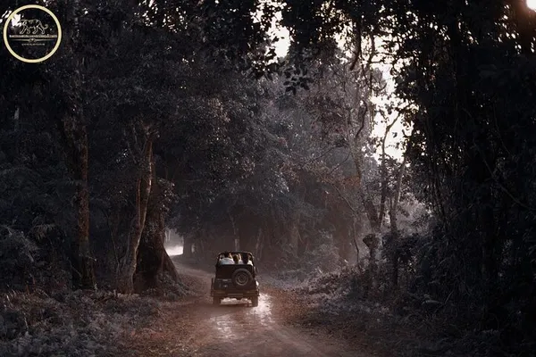 Unleash Ranthambore's Wild Side: Expert-Led Tiger Safari