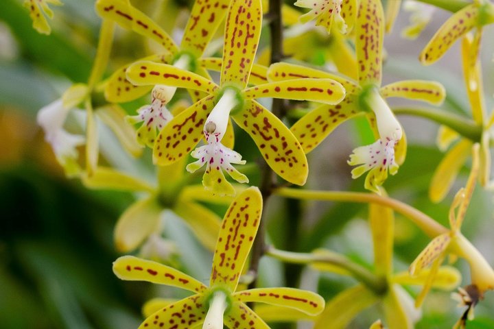 Experience Image img1