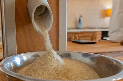 Tuscan Culinary Dream: Pasta Class & Estate Tasting near San Gimignano
