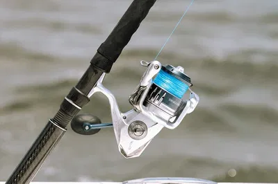 Charleston Inshore Fishing: Reel in Adventure!