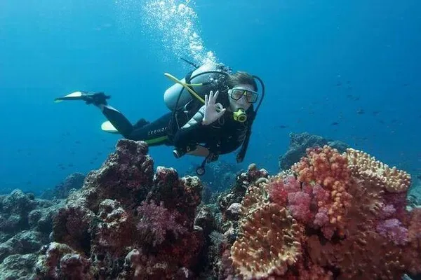 Dive into Paradise: Private Scuba Adventure in Nha Trang's Marine Park