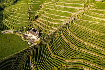Discover Lake Como's Charm & UNESCO Vineyards: A Small-Group Adventure from Milan