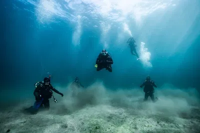 Unlock Underwater Adventures: PADI Open Water Certification in San Diego & Belize!