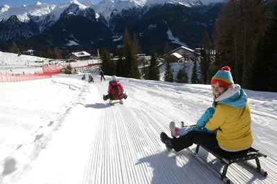 Dolomites Delights: Sledge Run & Scenic Car Tour Adventure