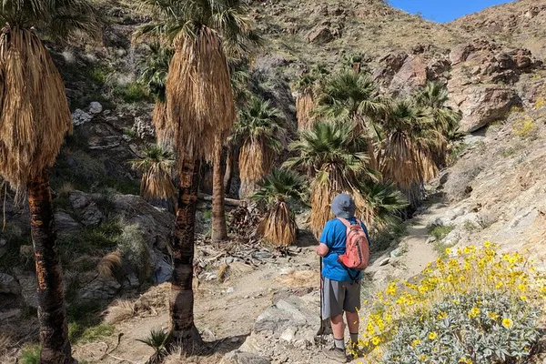 Palm Springs Oasis Hike: Secret Desert Views!
