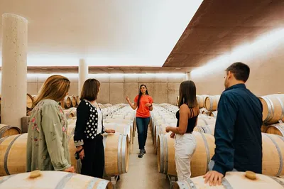 Milan to Barolo: Private Wine Tour & Driver