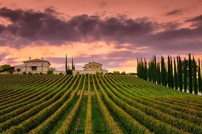 Rome: Wine Tour to Montepulciano & Montalcino