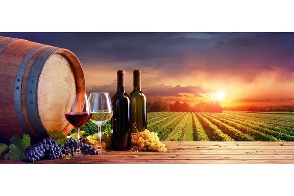 Tuscany Dream: Chianti Wine Tour with San Gimignano Escape