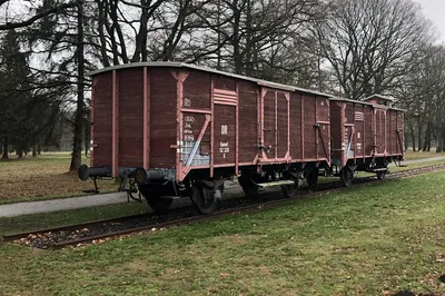 Anne Frank's Journey: A Private Westerbork Remembrance Tour