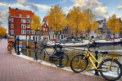 Discover Amsterdam's Charm: An Unforgettable Bike Tour Adventure