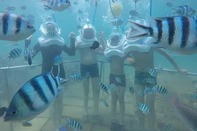 Hoi An: Cham Islands Underwater Walking & Cruise!